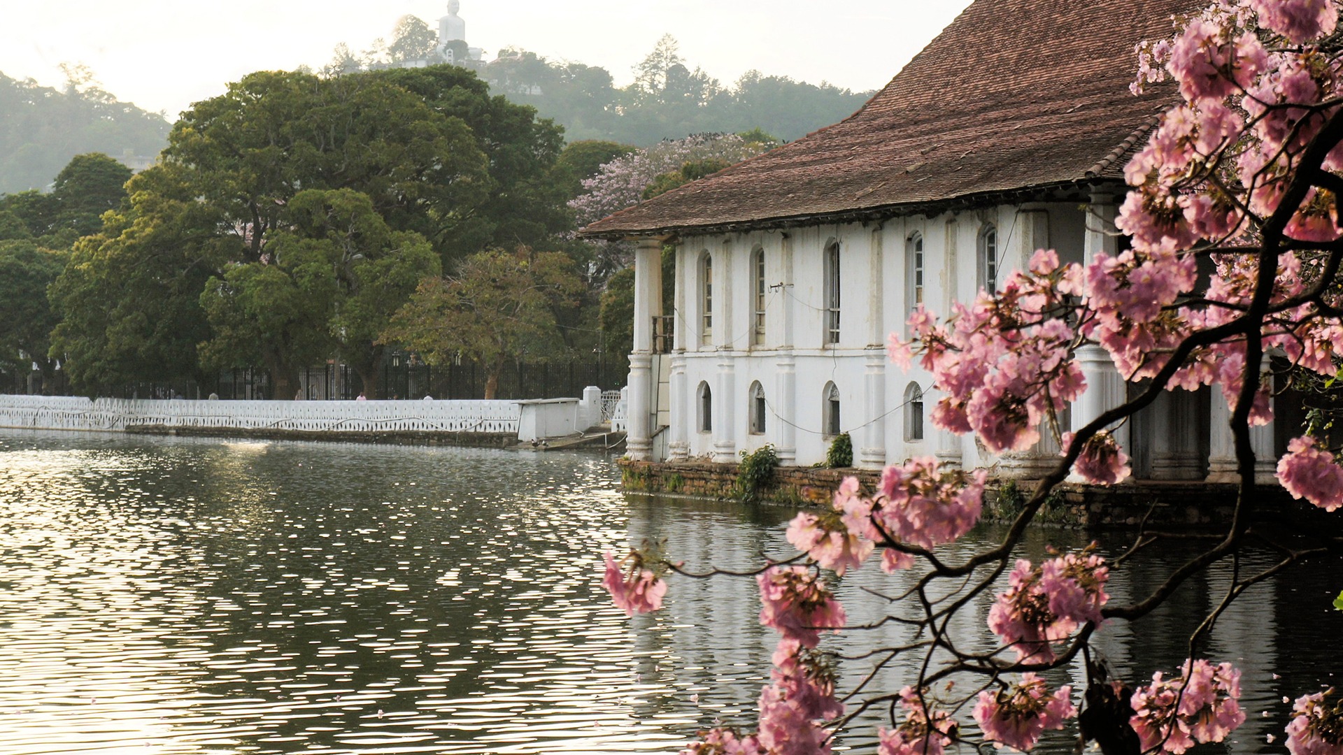 Scenic Kandy Lake Surrounded By Verdant Hills