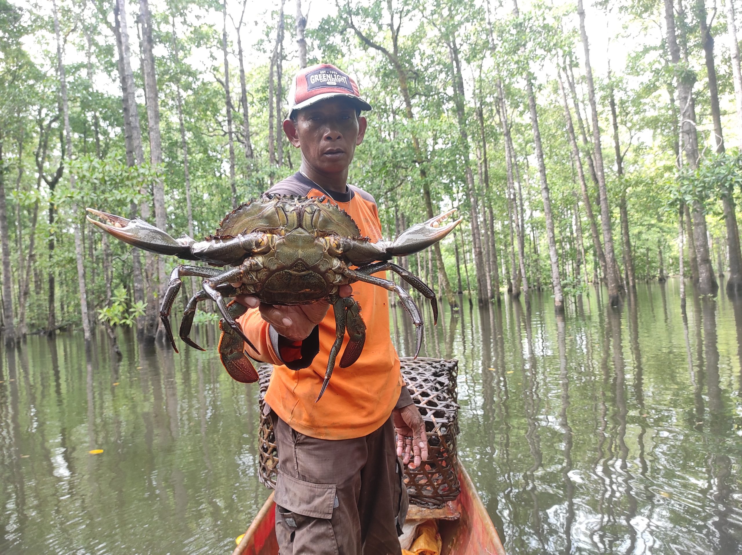 Kepiting Bakau