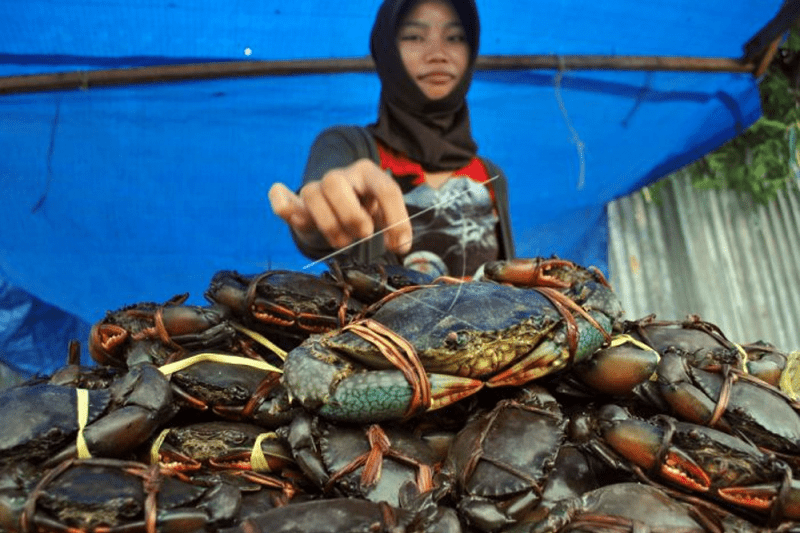 Kepiting Bakau