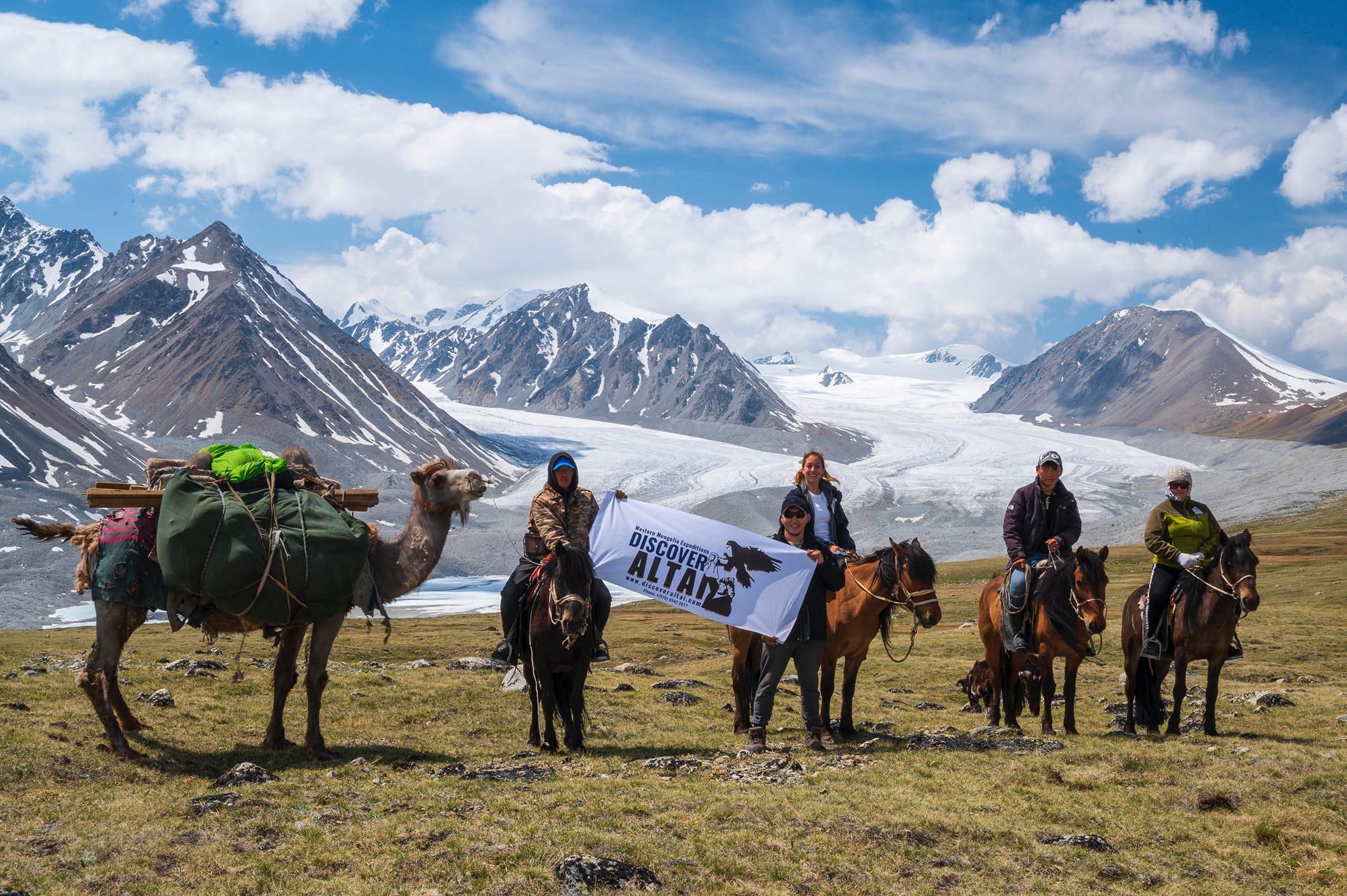 Wildlife Spotting In The Lush Meadows Of Altai Tavan Bogd 