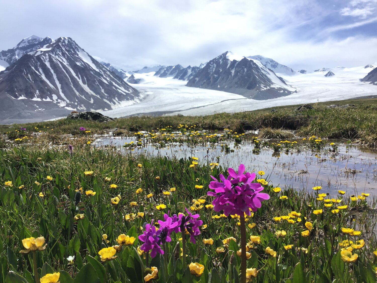 Majestic Glacier In The Heart Of Altai Tavan Bogd National Park 